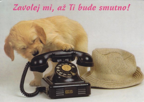 Позвони мне