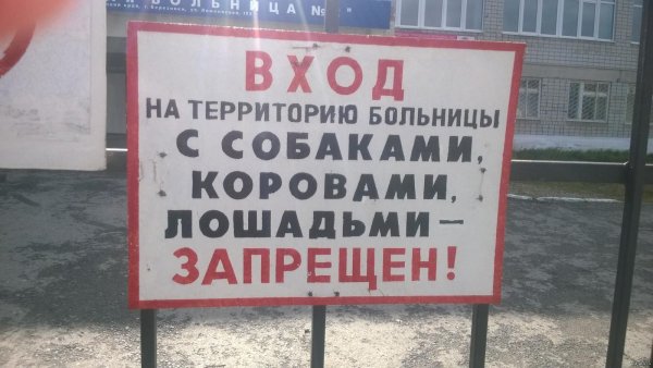 выгул собак запрещен