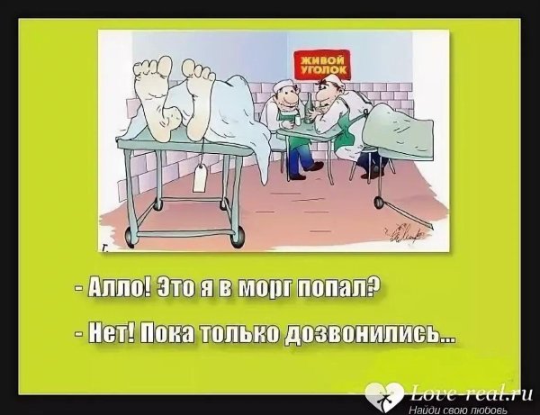морг карикатура