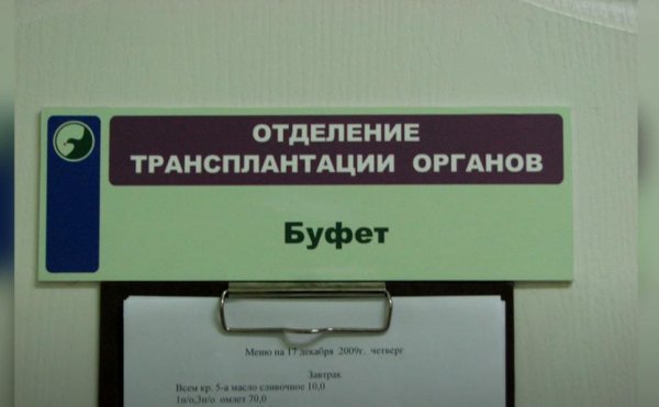 трансплантация органов