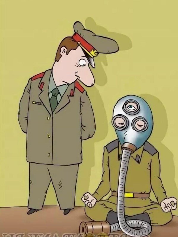 рхбз приколы