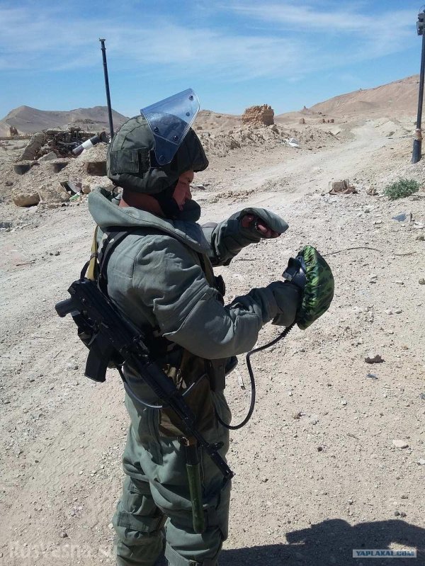 саперы в пальмире