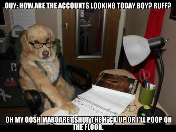 собака умная