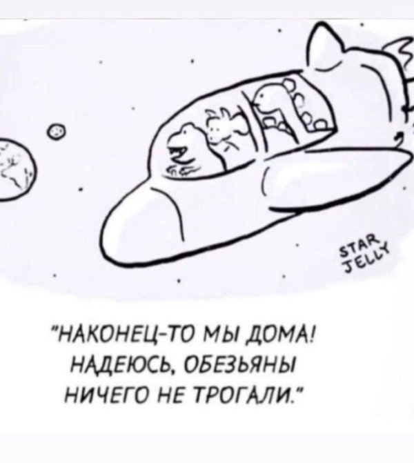 наконец дома