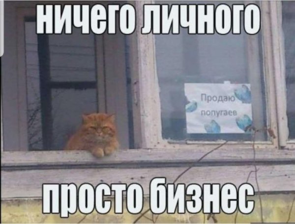 ничего личного просто бизнес