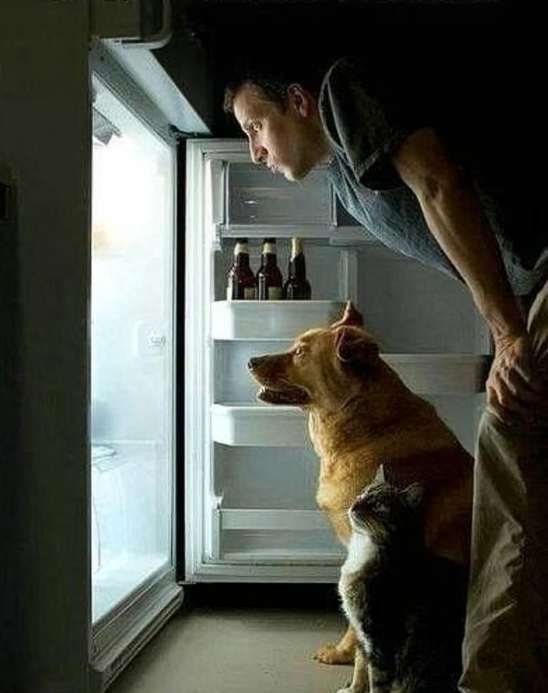 ночной дожор