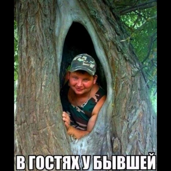 дупло девушки