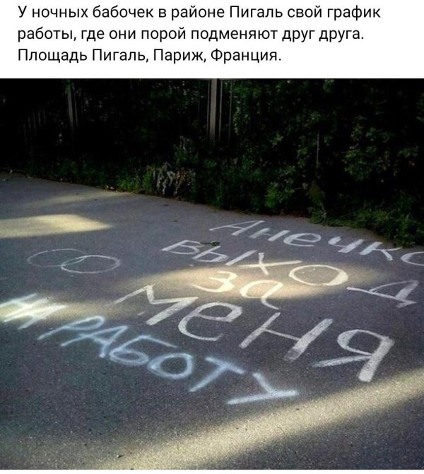 шутки про аню