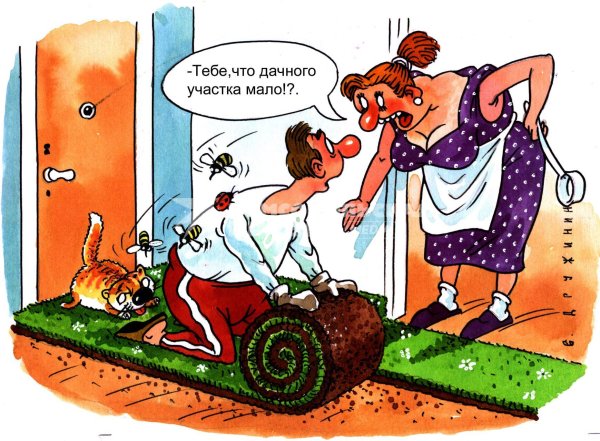закрытие дачного сезона