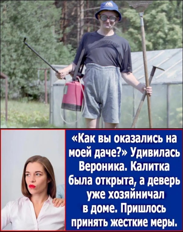 смешные дачники