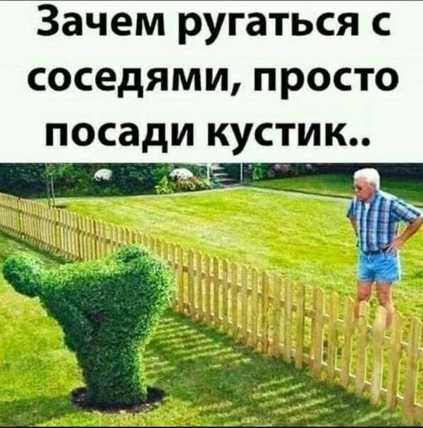 смешной куст