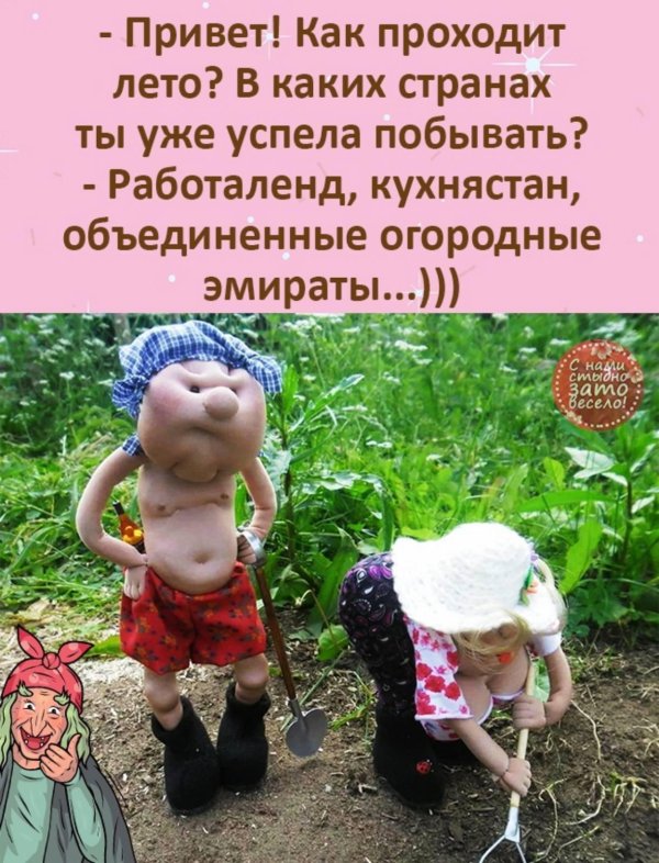 дачный юмор