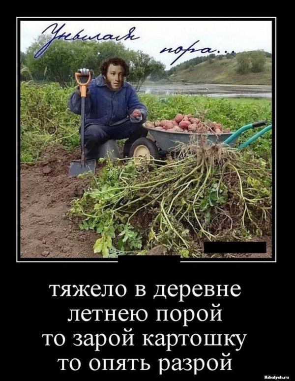 прикольные демотиваторы