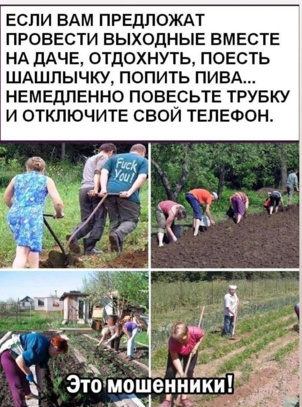 отдыхаем на даче