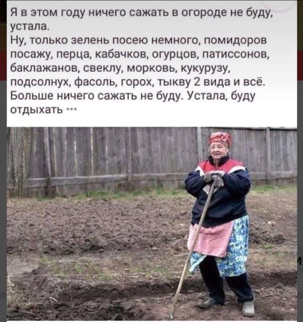 в этом году ничего сажать не буду