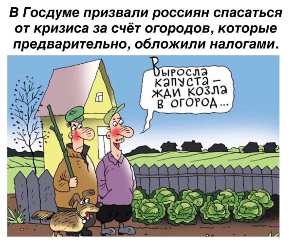 россия карикатура