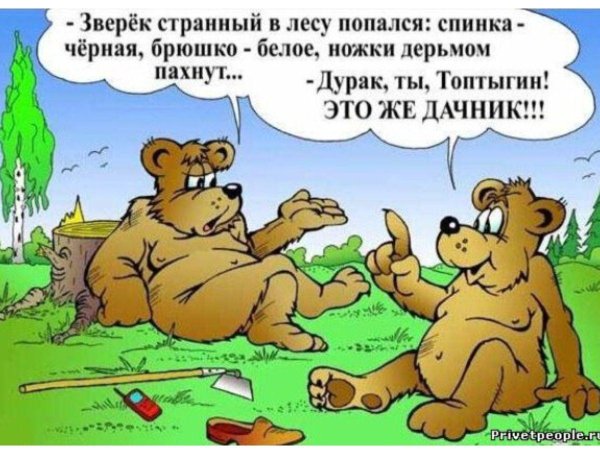 самые смешные анекдоты