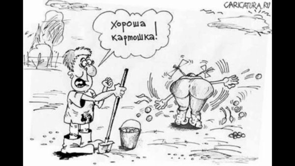 картинки карикатуры