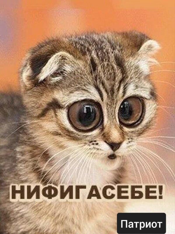 открытки обалдеть