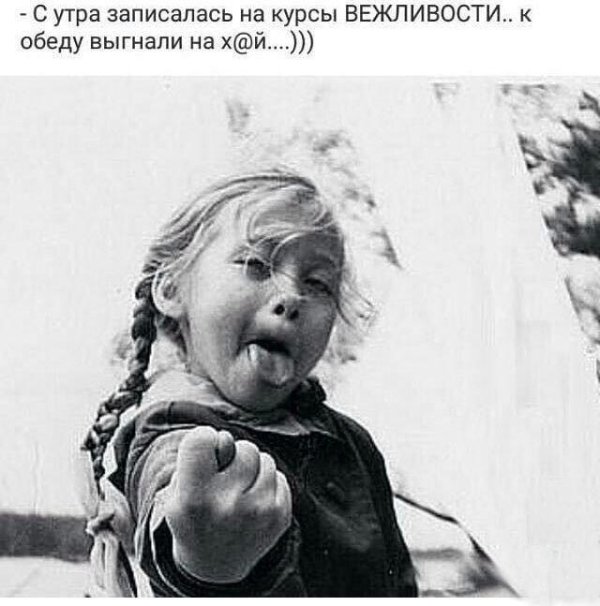 цитаты веселые