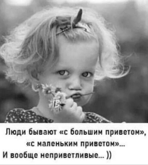 веселые высказывания