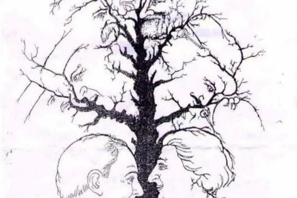 рисунки дерева