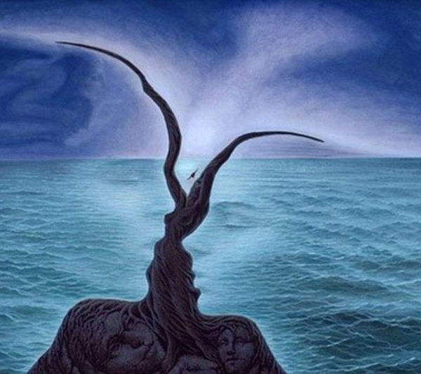 художник оптических иллюзий октавио окампо