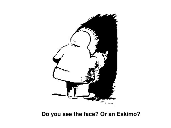 optical illusions illusion