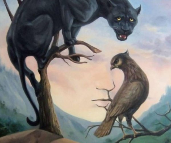 оптическая иллюзия