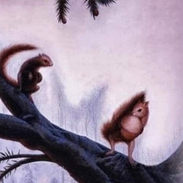 живопись белки