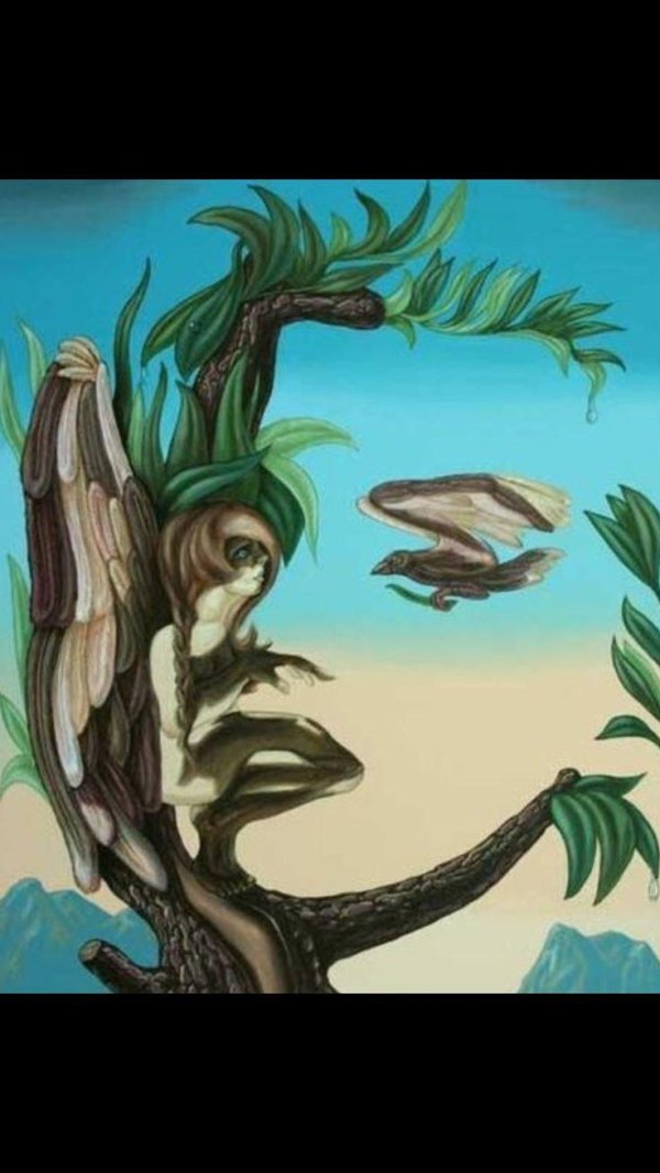 картиныиллюзии виктор молев