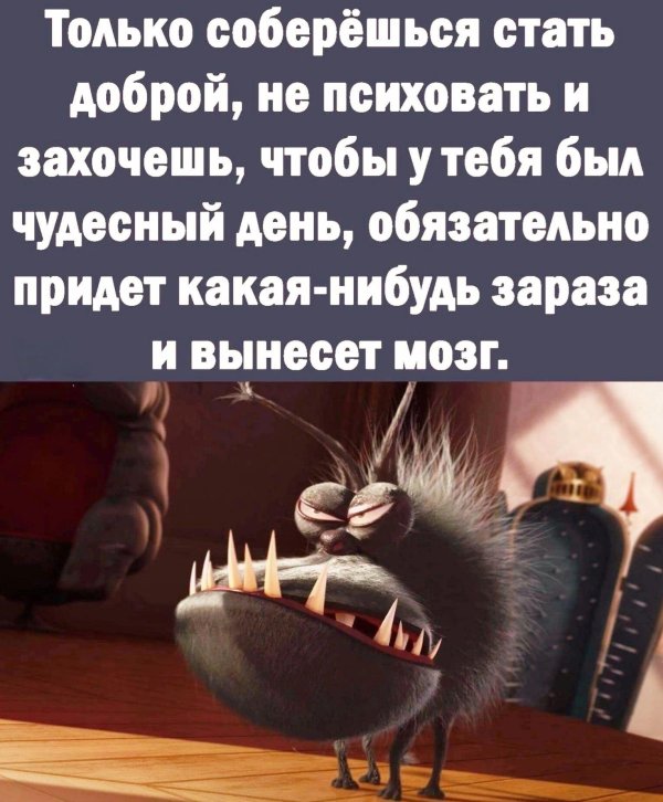 Только соберешься разбогатеть
