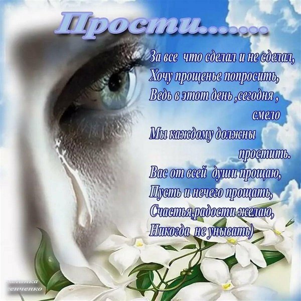 стихи прощения