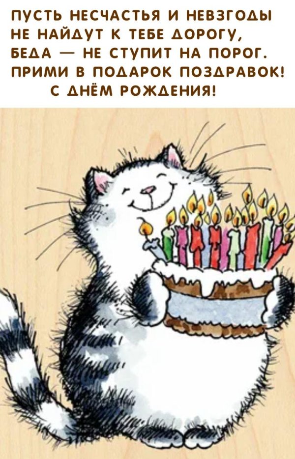 кот с днем рождения