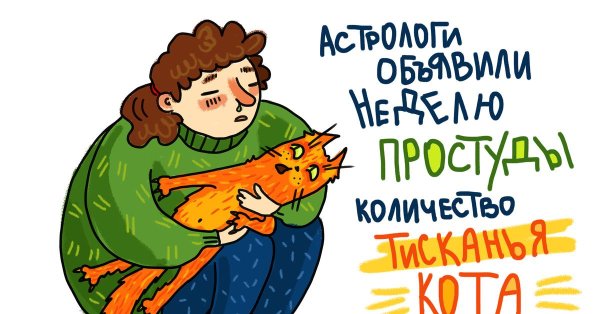котик сонный