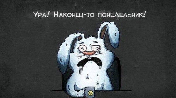 На злобу дня