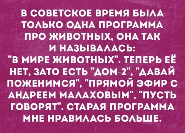 веселые высказывания