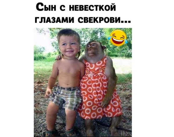 глазами свекрови