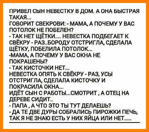 анекдот привёл сын невестку в дом