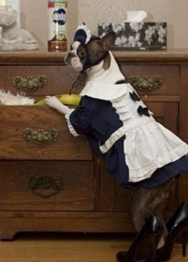 костюм горничная