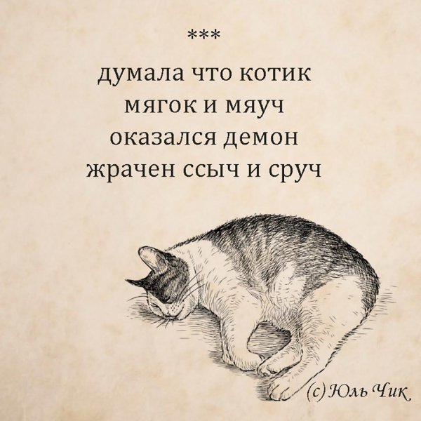 коты иллюстрации