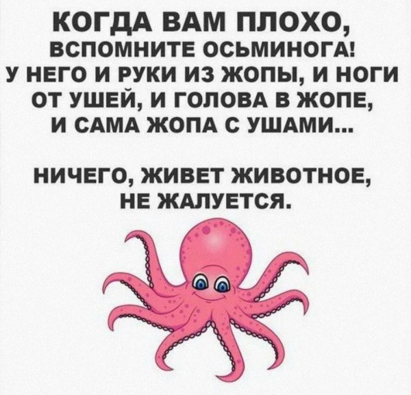 осьминог мультяшный