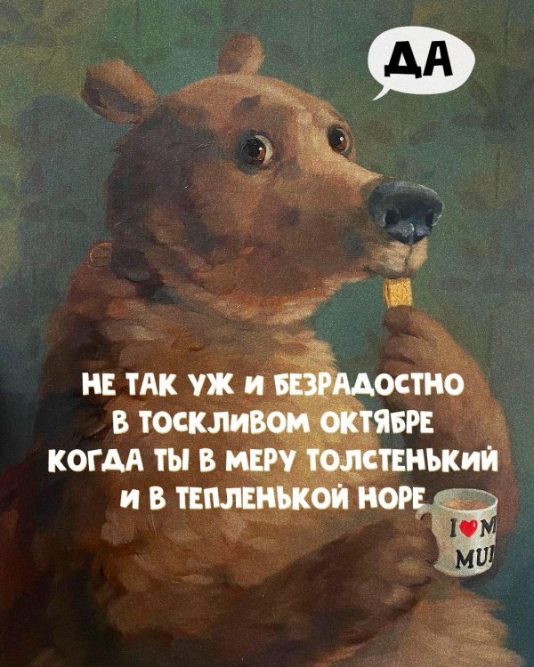 медвежонок поел