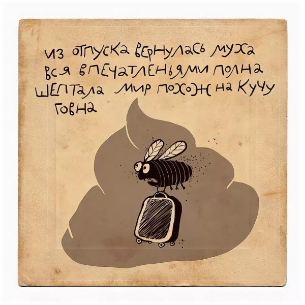 прикольные четверостишья