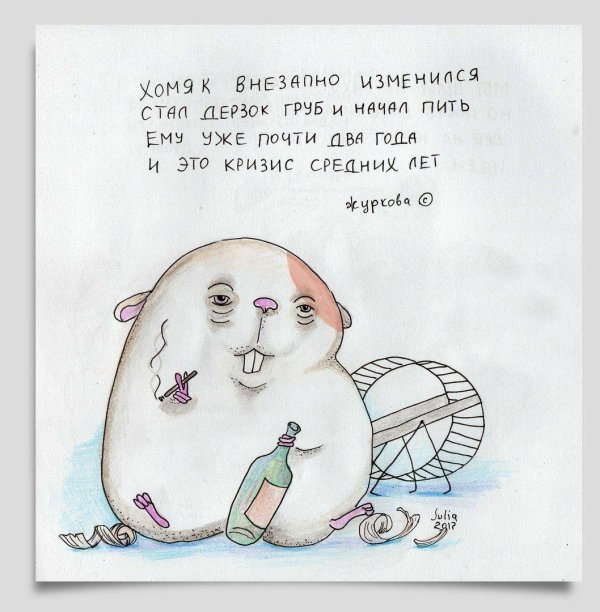 хомяк прикольный