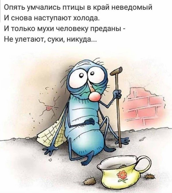 сонная муха