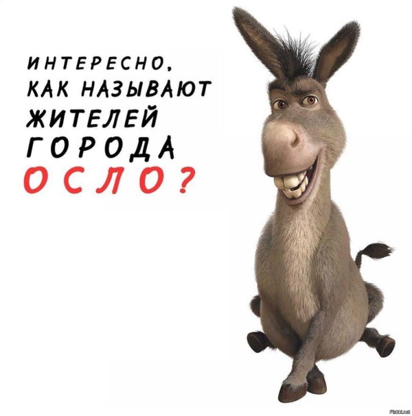 шрек осел