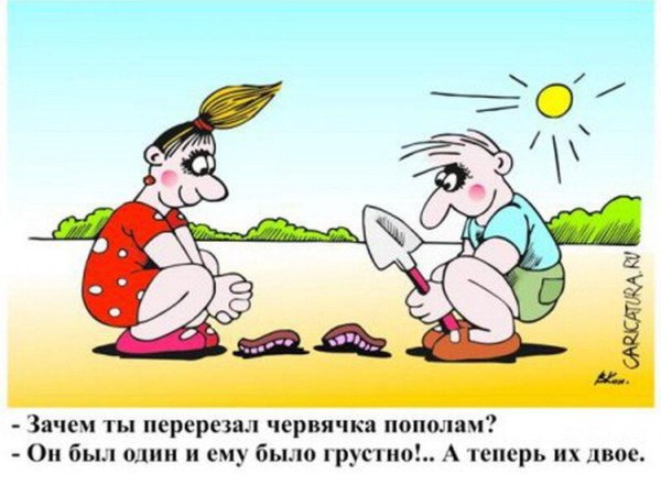 анекдоты карикатуры