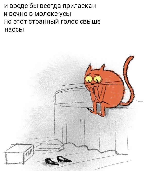 коты юмор