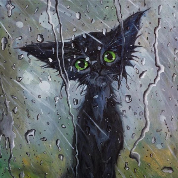 шум дождя картина